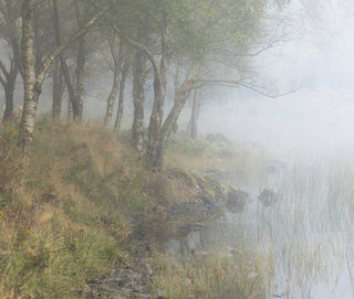 Nature Through the Lens: Brad Carr's Journey of Discovery and Healing - Inhabit